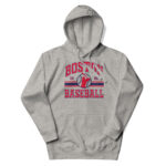 Boston Baseball 1901 Premium Hoodie