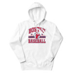 Boston Baseball 1901 Premium Hoodie