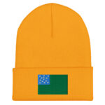 Vermont Green Mountain Boys Flag Beanie